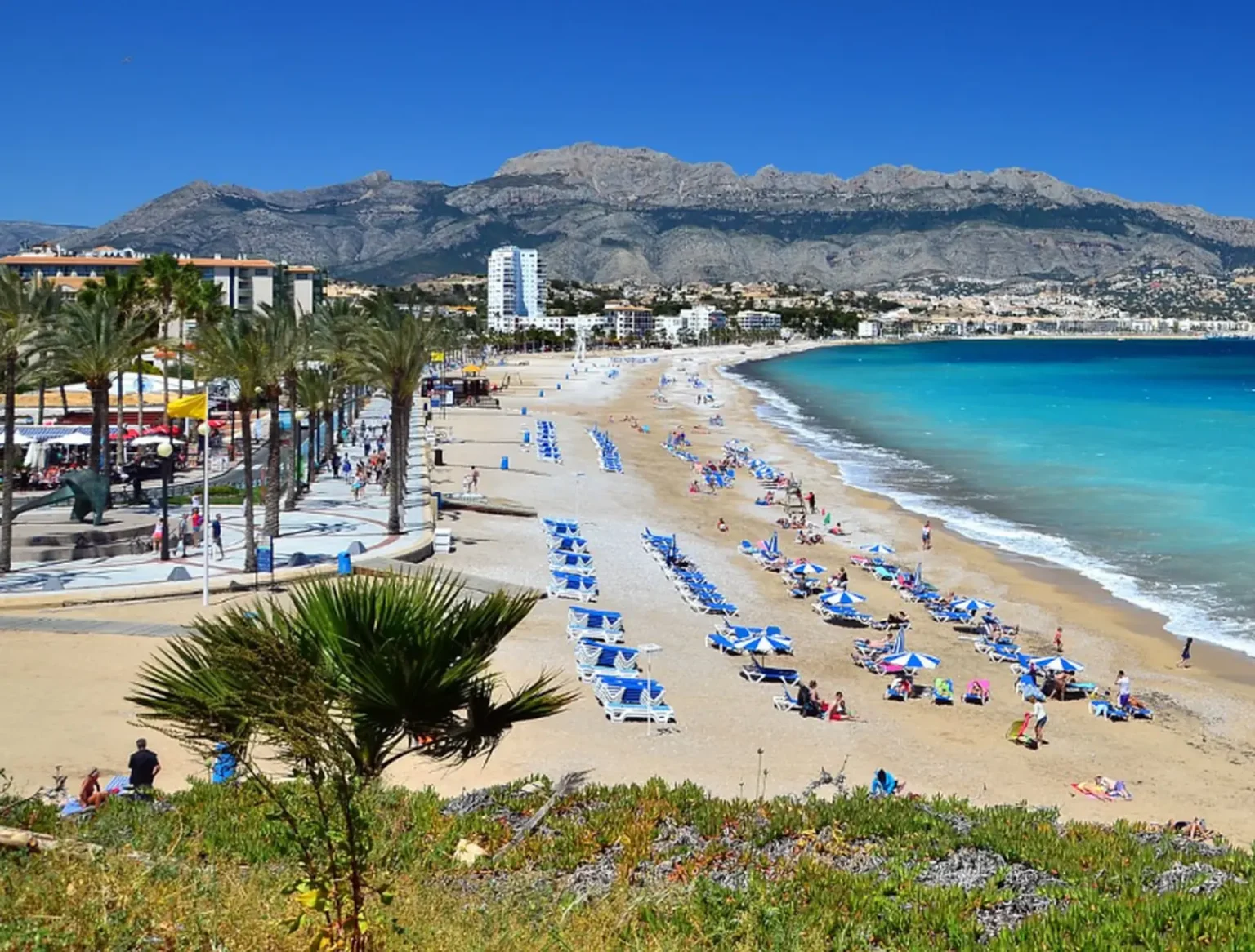 Playa de Altea con paseo marítimo, hamacas azules y Sierra de Bernia al fondo en la Costa Blanca.