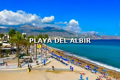 Panorámica de la Playa de El Albir con paseo marítimo, palmeras y hamacas en la arena