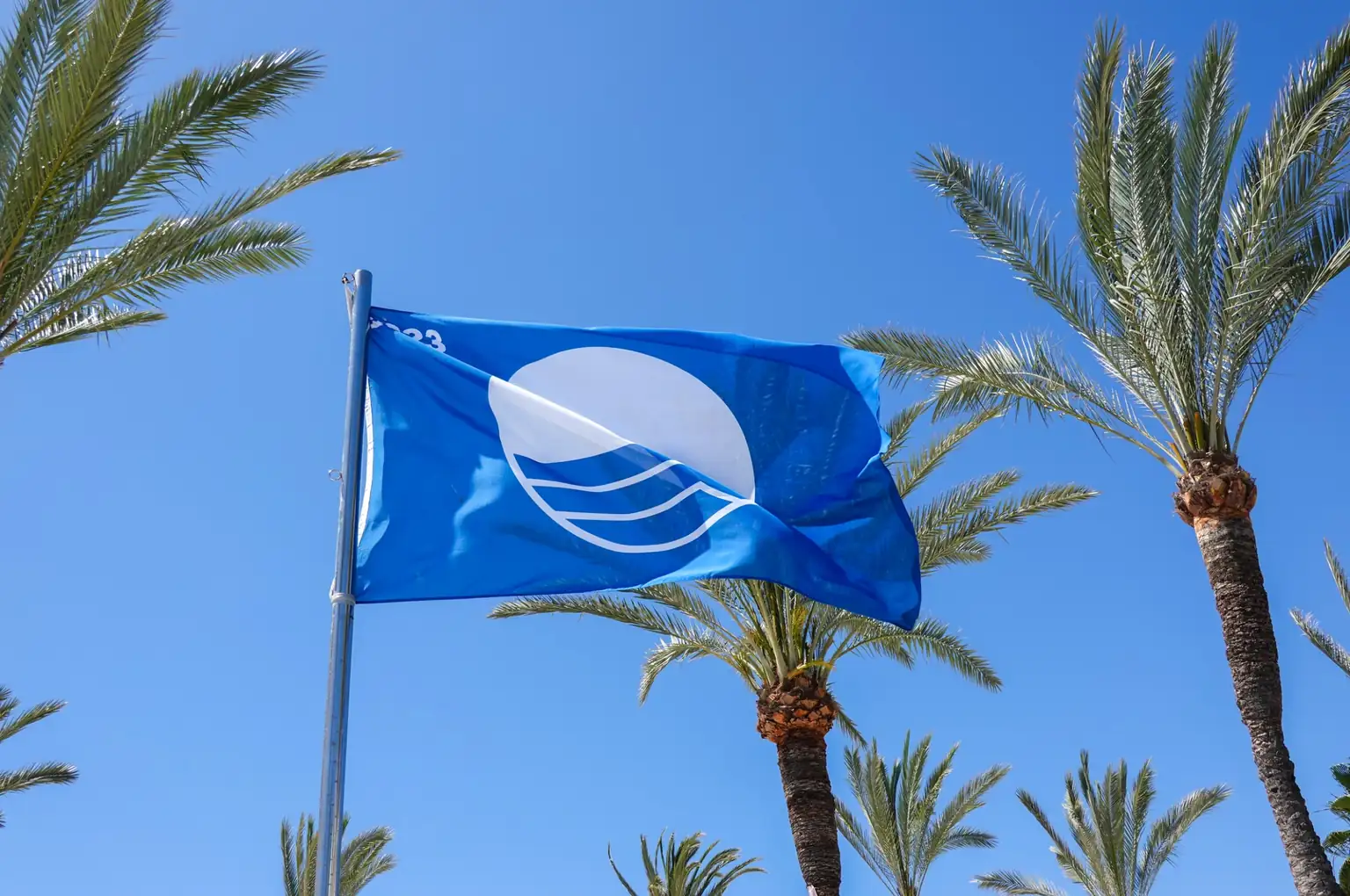 Blue Flag at El Albir Beach with palm trees and blue sky on the Costa Blanca