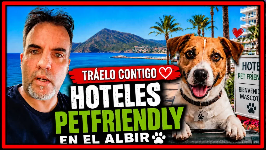 Miniatura del video El Albir tiene hoteles petfriendly